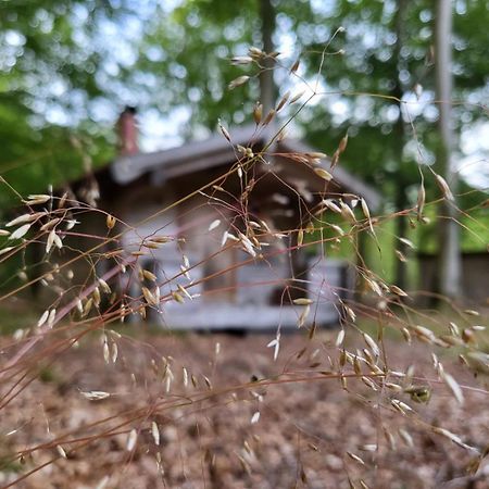 Bjaernhultsgardens Stugor Linderod Екстер'єр фото