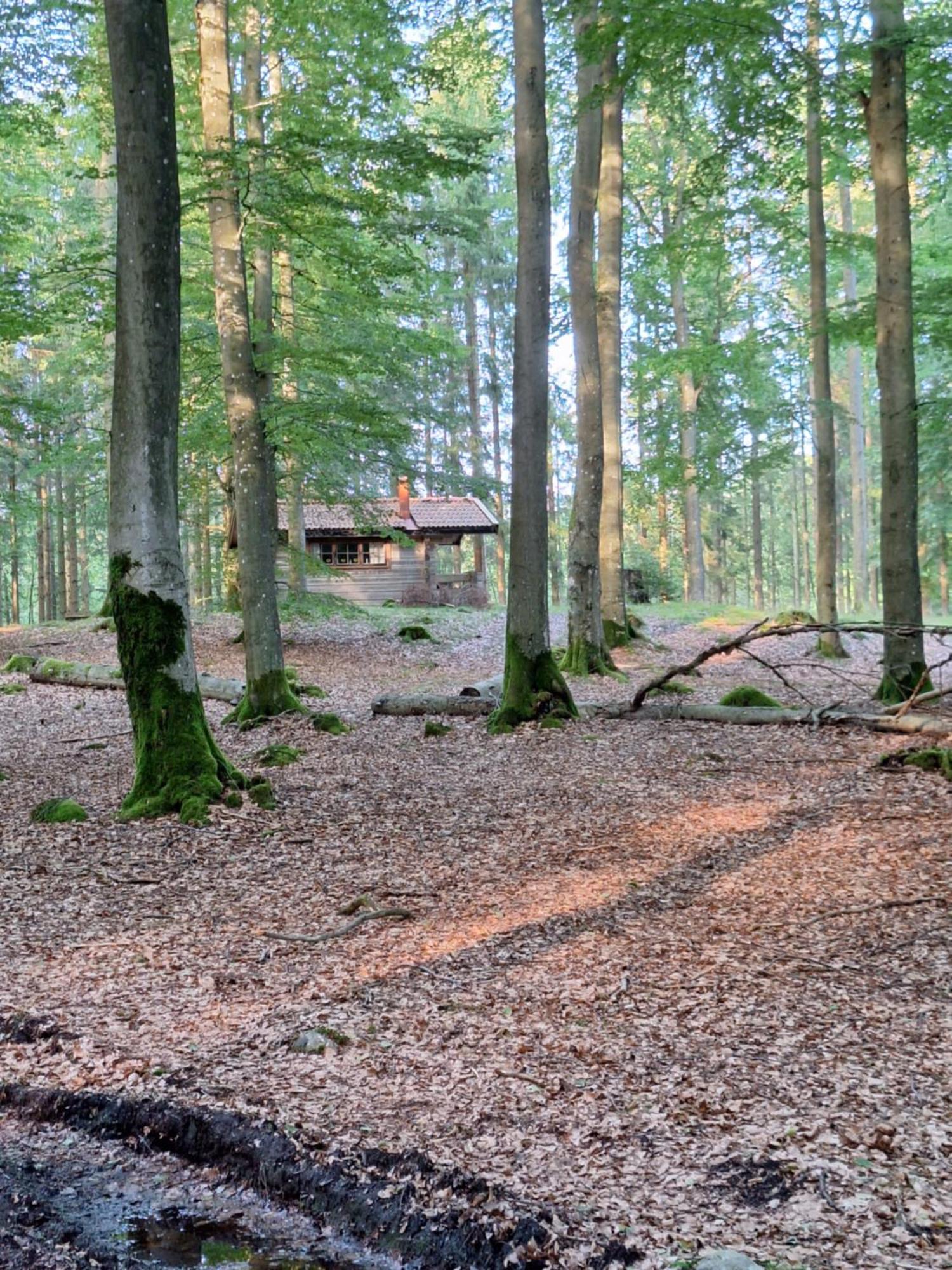Bjaernhultsgardens Stugor Linderod Екстер'єр фото